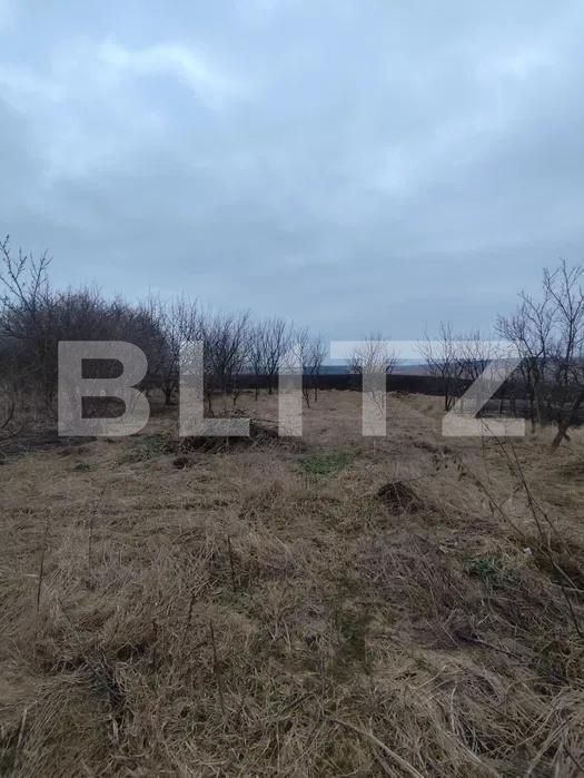 Casa de vânzare 2 camere Exterior Vest - 198046CV | BLITZ Suceava | Poza9