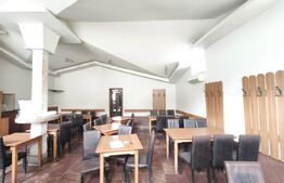 Spatiu comercial/restaurant ultracentral, Siret
