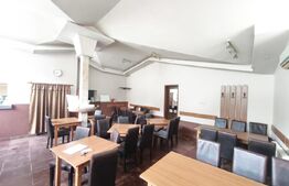 Spatiu comercial/restaurant ultracentral, Siret