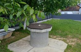 Casă de vânzare, 214 mp, 10 ari teren, Măriței, Dărmănești