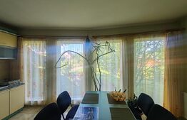 Casa 217 mp, teren 1330 mp, Lisaura