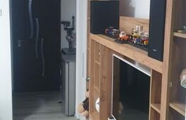 Apartament de vanzare, cu 3 camere, semidecomandat - in Vatra Dornei