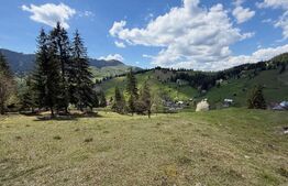 Teren intravilan si extravilan  23.000 mp, front 150 ml, Sadova - Bucovina 