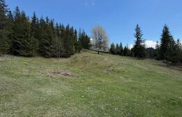 Teren intravilan si extravilan  23.000 mp, front 150 ml, Sadova - Bucovina 