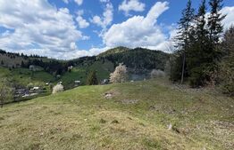 Teren intravilan si extravilan  23.000 mp, front 150 ml, Sadova - Bucovina 