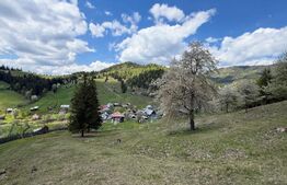 Teren intravilan si extravilan  23.000 mp, front 150 ml, Sadova - Bucovina 