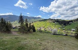 Teren intravilan si extravilan  23.000 mp, front 150 ml, Sadova - Bucovina 