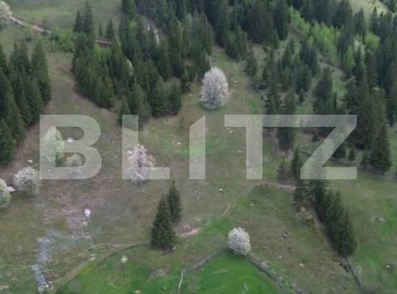 Teren de vânzare Exterior Vest - 198711TV | BLITZ Suceava | Poza1