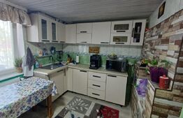 Casă de vânzare cu anexe, 35 ari teren, Adancata