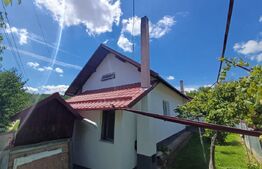 Casă de vânzare cu anexe, 35 ari teren, Adancata