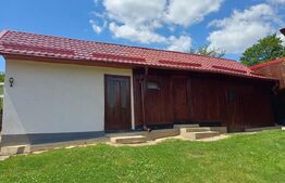 Casă de vânzare cu anexe, 35 ari teren, Adancata