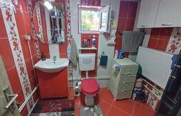 Casă de vânzare cu anexe, 35 ari teren, Adancata