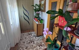 Casă de vânzare cu anexe, 35 ari teren, Adancata