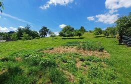 Casă de vânzare cu anexe, 35 ari teren, Adancata