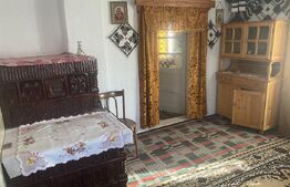 Casă de vânzare, cu 8 camere, 310 mp, cu teren de 1532 mp, zona Frasin