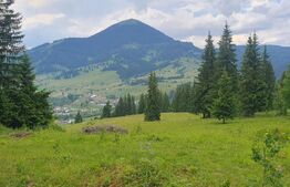 Teren de vânzare Obcini - 187356TV | BLITZ Suceava | Poza3