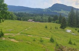 Teren extravilan pentru o casa de vis in Dorna Candrenilor