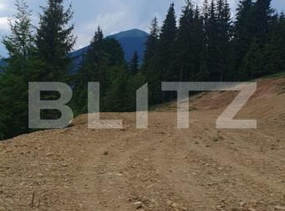 Teren de vânzare Vatra Dornei - 198785TV | BLITZ Suceava | Poza4