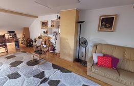 Vila premium, 5 camere, 281 mp, Sf. Ilie, zona Obcini