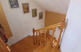 Vila premium, 5 camere, 281 mp, Sf. Ilie, zona Obcini