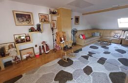 Vila premium, 5 camere, 281 mp, Sf. Ilie, zona Obcini
