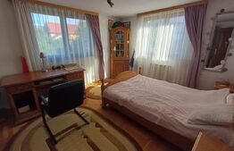 Vila premium, 5 camere, 281 mp, Sf. Ilie, zona Obcini