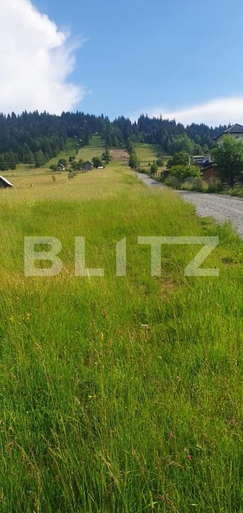 Teren de vânzare Vatra Dornei - 198918TV | BLITZ Suceava | Poza4