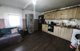 Casa batraneasca + 5500 mp teren, Fratautii Vechi, Radauti