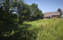 Casa batraneasca + 5500 mp teren, Fratautii Vechi, Radauti