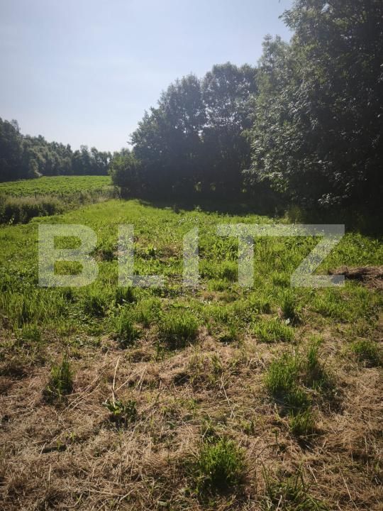 Casa de vânzare 2 camere Fratautii Vechi - 198937CV | BLITZ Suceava | Poza7