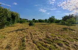 Teren intravilan 60 ari cu iaz si cabana, zona Ilisesti