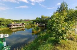 Teren intravilan 60 ari cu iaz si cabana, zona Ilisesti
