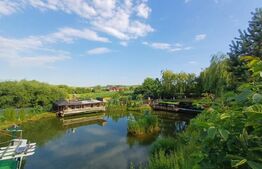 Teren intravilan 60 ari cu iaz si cabana, zona Ilisesti