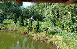 Teren intravilan 60 ari cu iaz si cabana, zona Ilisesti