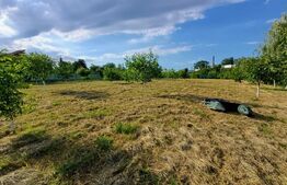 Teren intravilan 60 ari cu iaz si cabana, zona Ilisesti