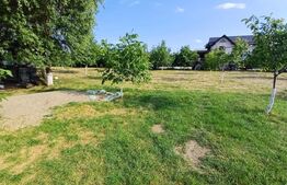 Teren intravilan 60 ari cu iaz si cabana, zona Ilisesti