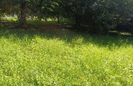 Casă de vânzare cu anexe, 174 mp, 22 ari teren, Grigoresti