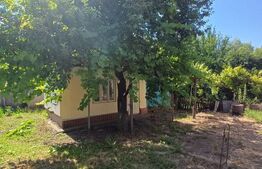 Casă de vânzare cu anexe, 174 mp, 22 ari teren, Grigoresti