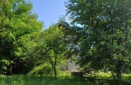 Casă de vânzare cu anexe, 174 mp, 22 ari teren, Grigoresti