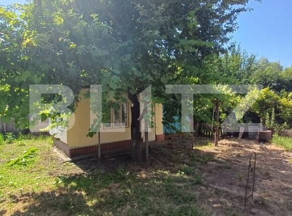 Casa de vânzare 4 camere Exterior Est - 199213CV | BLITZ Suceava | Poza13