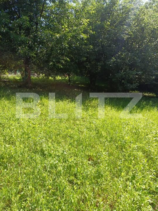 Casa de vânzare 4 camere Exterior Est - 199213CV | BLITZ Suceava | Poza15