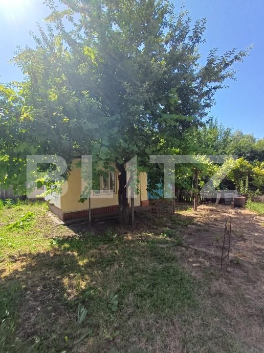 Casa de vânzare 4 camere Exterior Est - 199213CV | BLITZ Suceava | Poza13