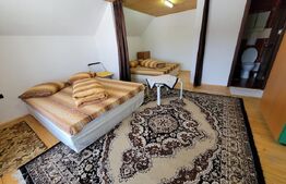 Complex turistic și fermă piscicolă–proprietate complet echipată