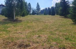 Teren 3.268 mp, intravilan, zona Vatra Dornei