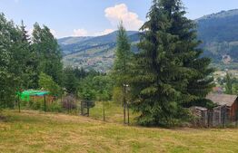 Teren 3.268 mp, intravilan, zona Vatra Dornei
