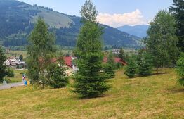 Teren 3.268 mp, intravilan, zona Vatra Dornei