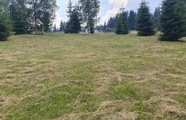 Teren 3.268 mp, intravilan, zona Vatra Dornei
