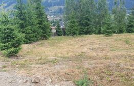 Teren 3.268 mp, intravilan, zona Vatra Dornei
