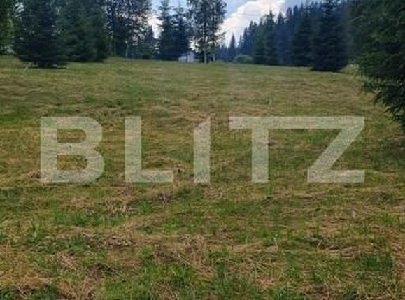 Teren de vânzare Vatra Dornei - 199521TV | BLITZ Suceava | Poza8
