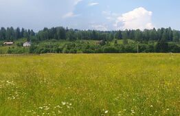 Teren 10.000 mp,  intravilan, zona Neagra Sarului